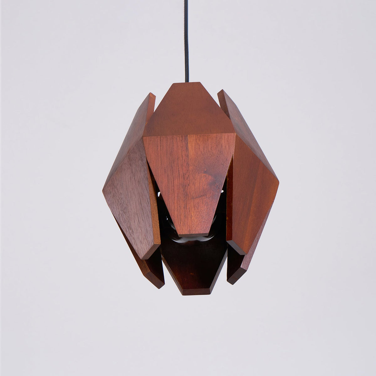 Wood Astris Pendant Lamp — product view 37