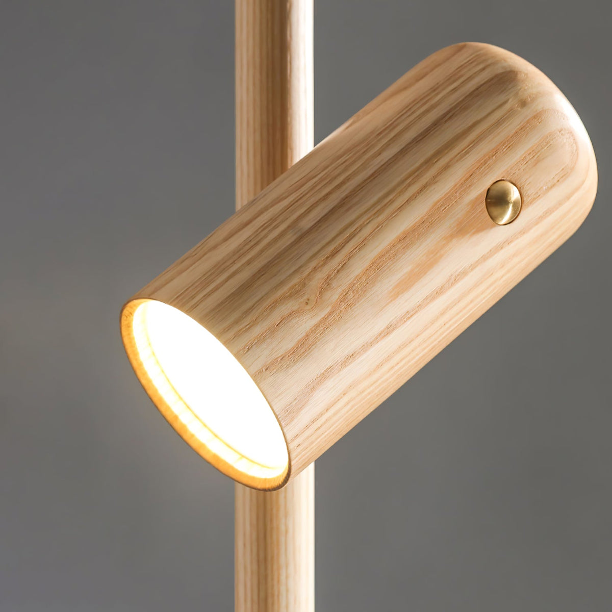 Adjustable Spotlight Wood LED Floor Lamp - product view 11