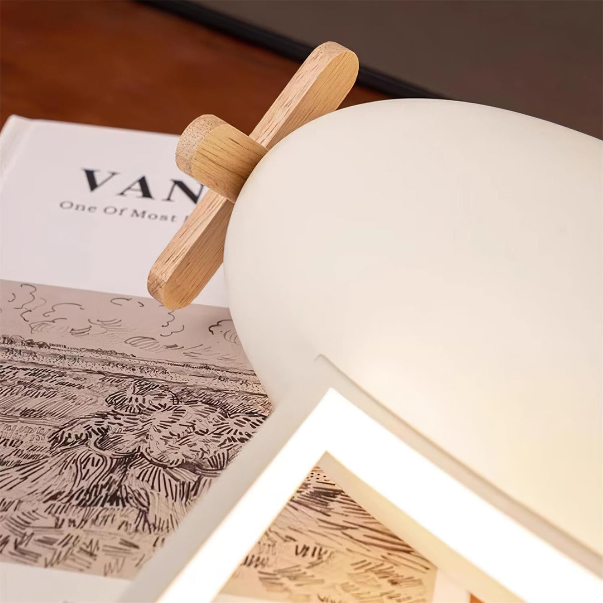 Airplane Wood Ceiling Lamp — product view 22