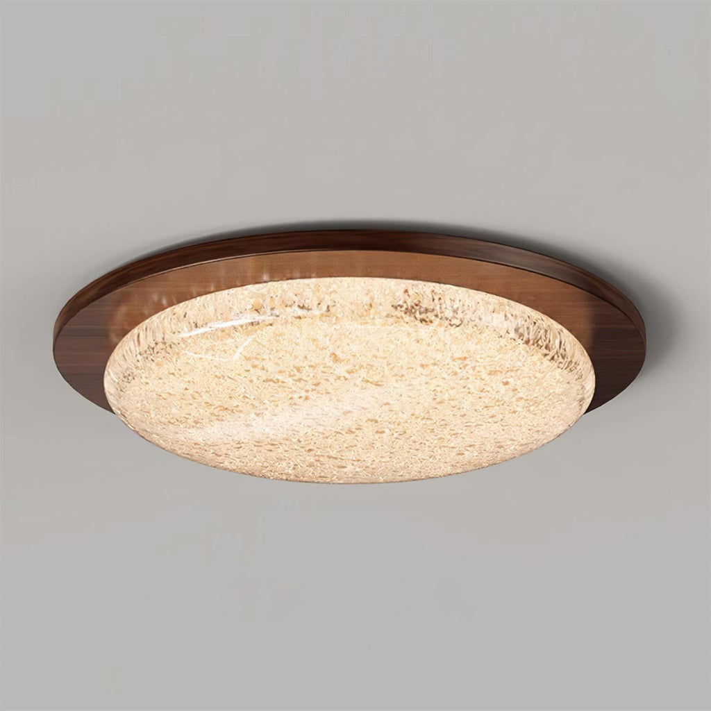 Kidson LED Metal Ceiling Lamp — product view 2