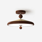 Hover Metal Ceiling Lamp — product view 1