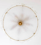 Collins Flowers Glass Ceiling Lamp — product view 13