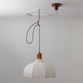 Revi Swing Arm Wood Pendant Light — product view 8