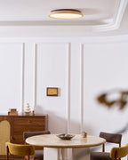 Piedra Travertine Ceiling Light — product view 21