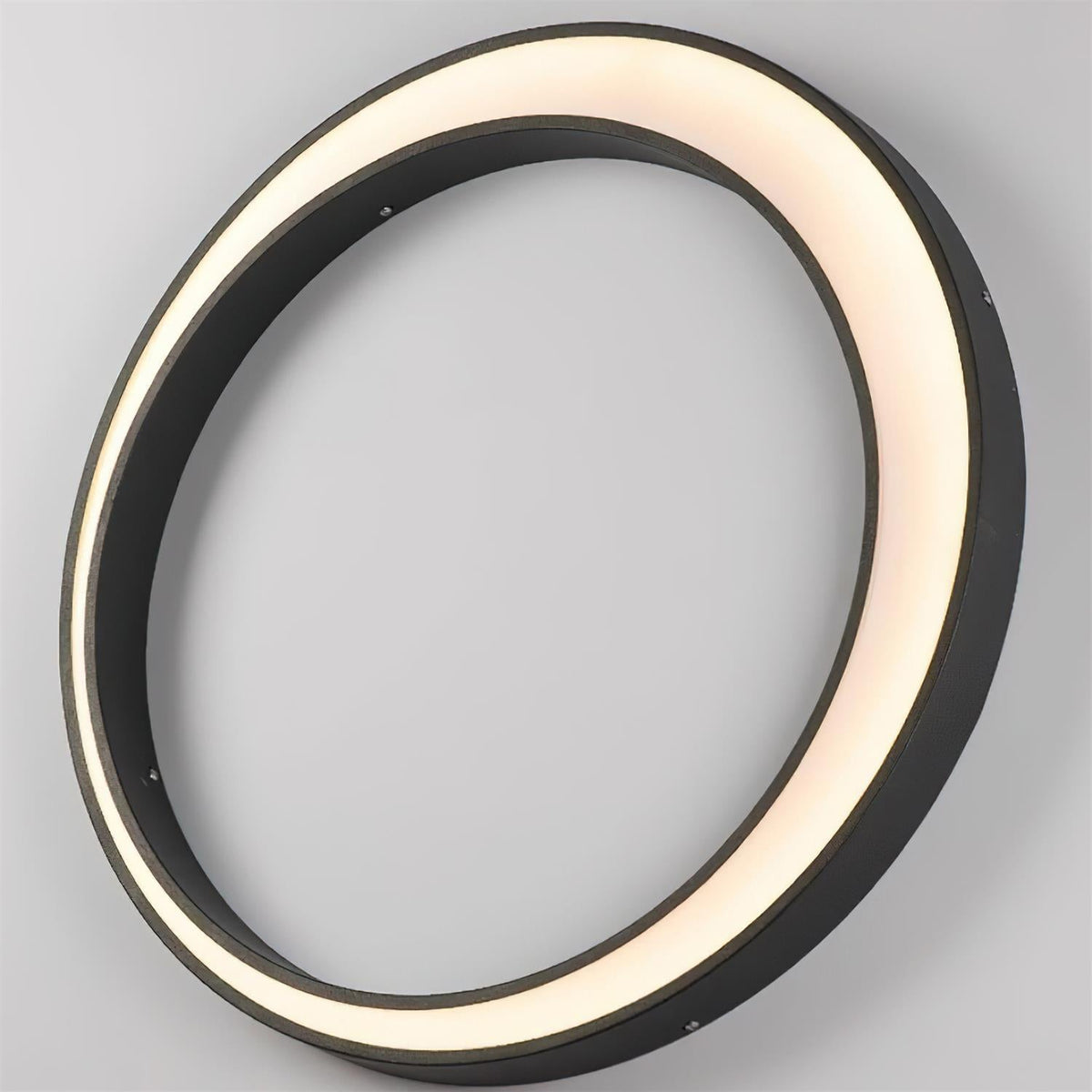 Half Moon Outdoor Acrylic Wall Lamp — product view 4