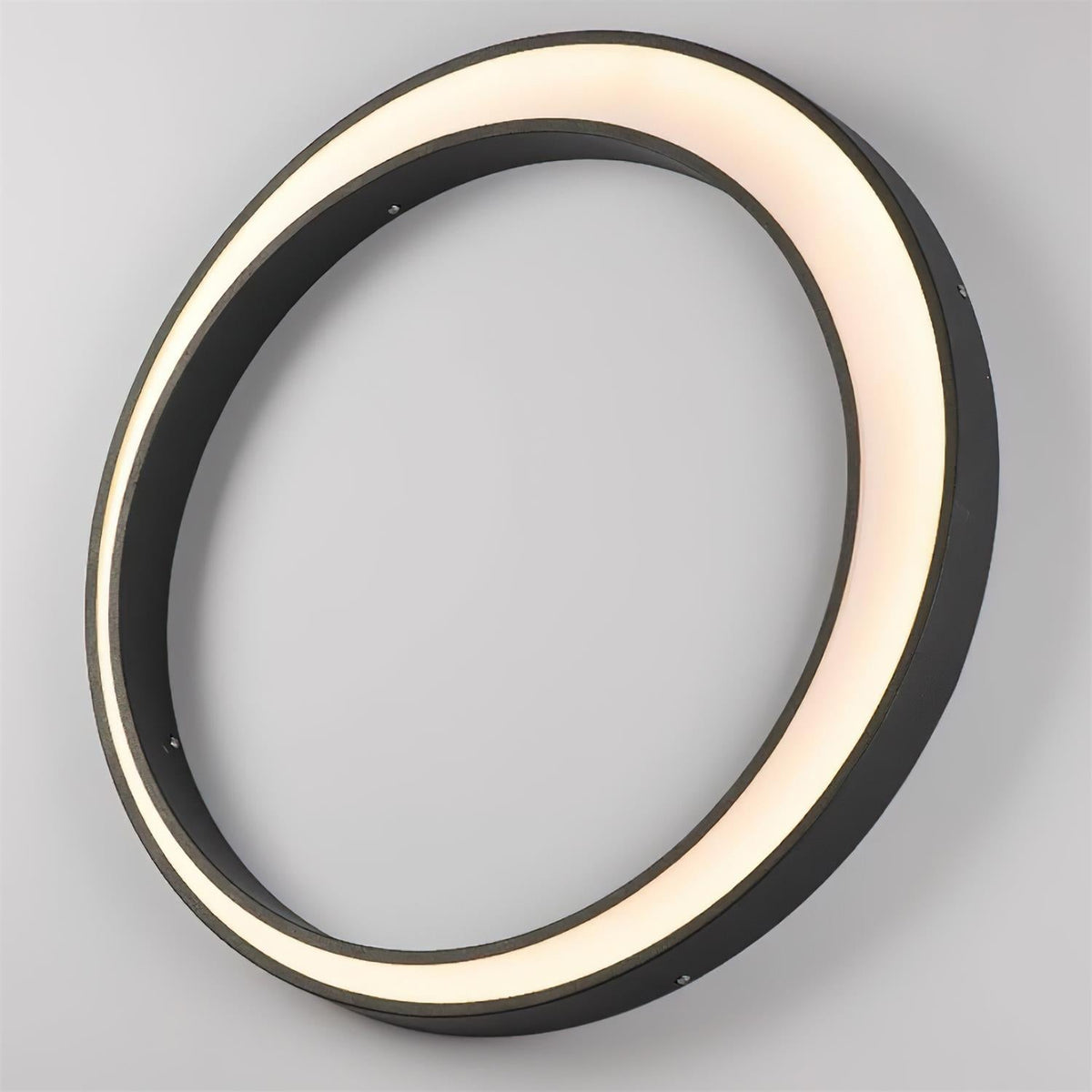 Half Moon Outdoor Acrylic Wall Lamp — product view 18