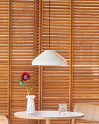 PAO Pendant Lamp — product view 10