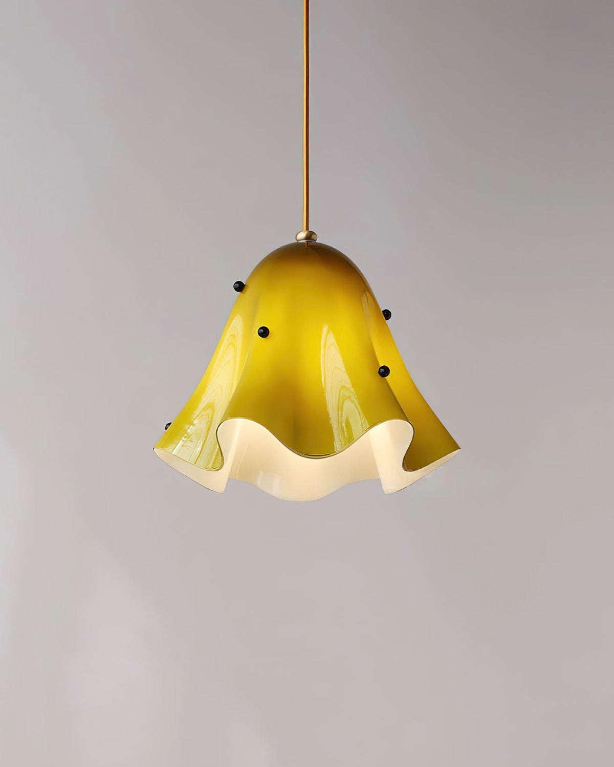 Vera Pendant Lamp — product view 27