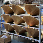 Smilow Bamboo Pendant Lamp — product view 20