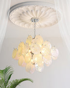 Carmosa Glass Chandelier — product view 81