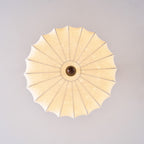 Velora Wood Ceiling Lamp — product view 34