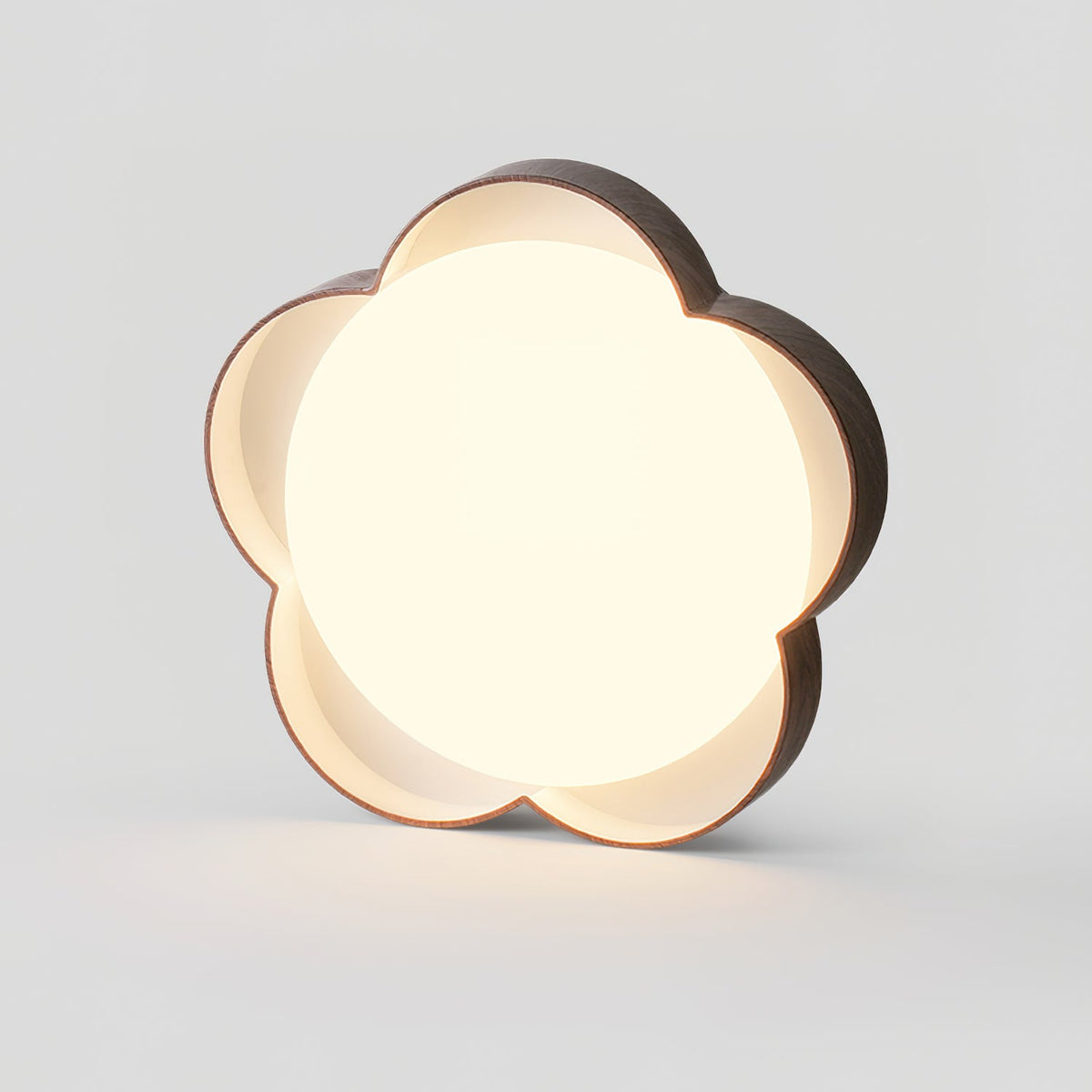 Luminaria Metal Ceiling Lamp — product view 8