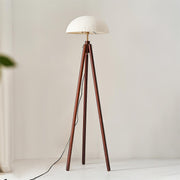 Walnut Color