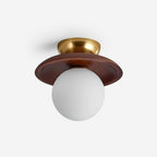 Radiora Glass Ceiling Lamp — product view 1