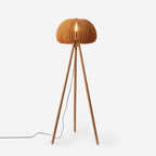 Sylora Wood Floor Lamp — product view 1