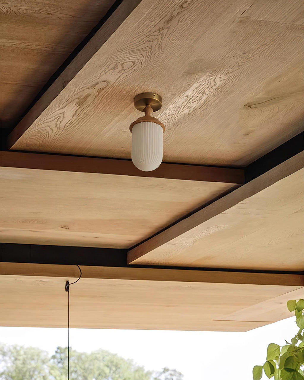 Veyra Glass Ceiling Lamp — product view 6