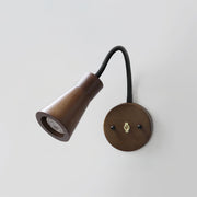 Walnut Color