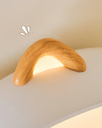 Mewi Metal Ceiling Lamp — product view 8