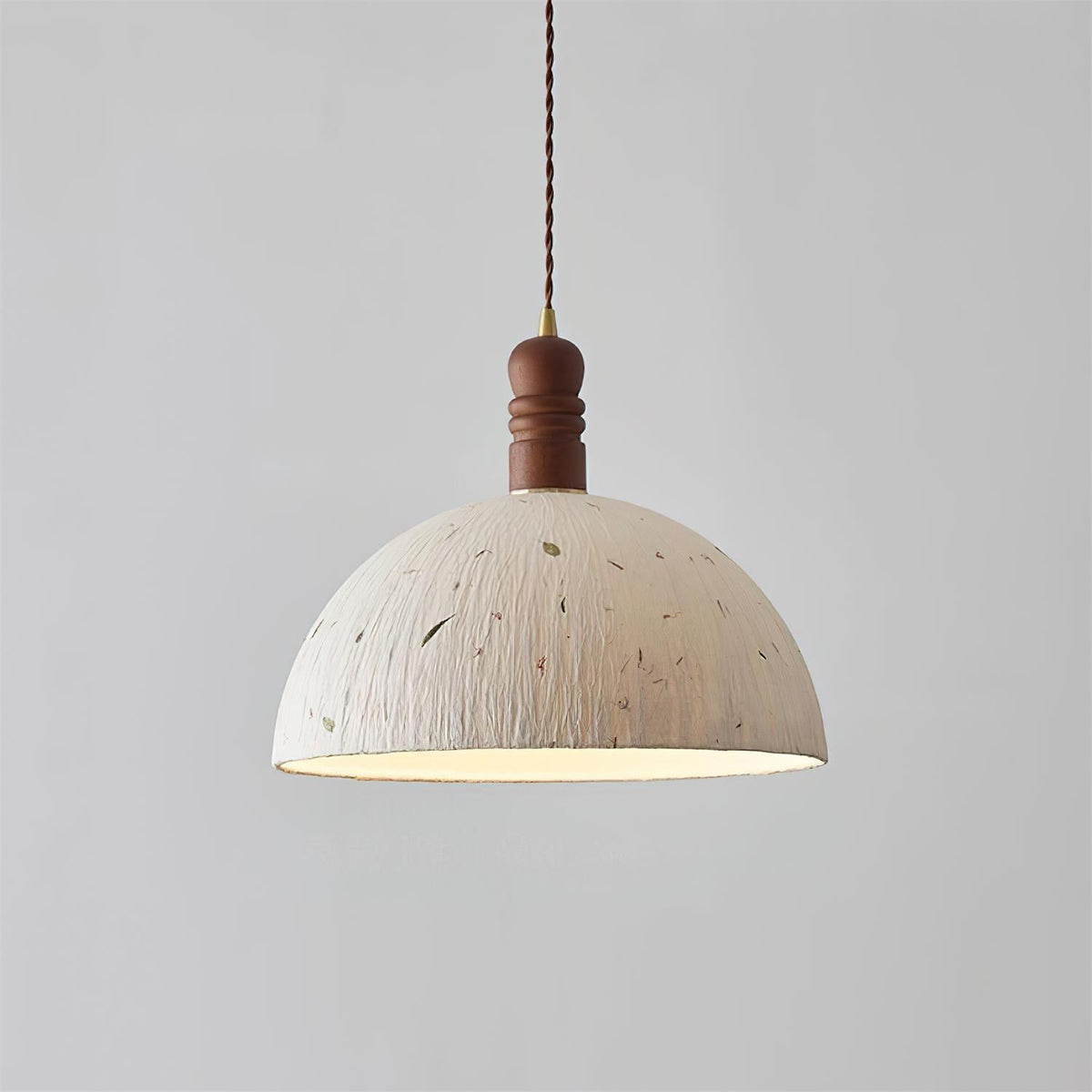 Sylvane Dome Wood Pendant Lamp — product view 2