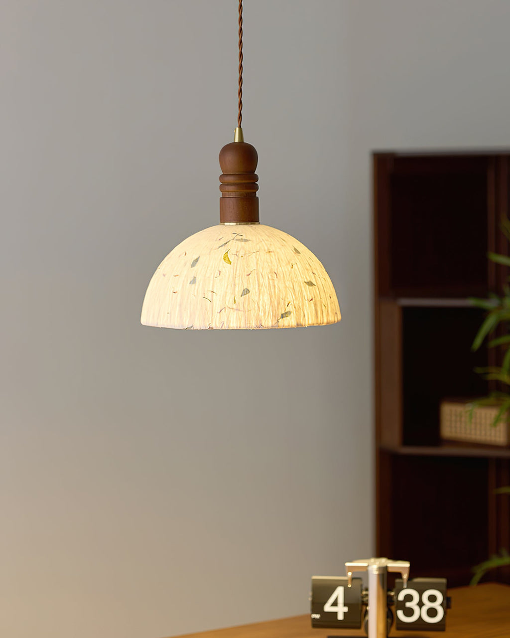Sylvane Dome Wood Pendant Lamp — product view 9