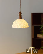 Sylvane Dome Wood Pendant Lamp — product view 9