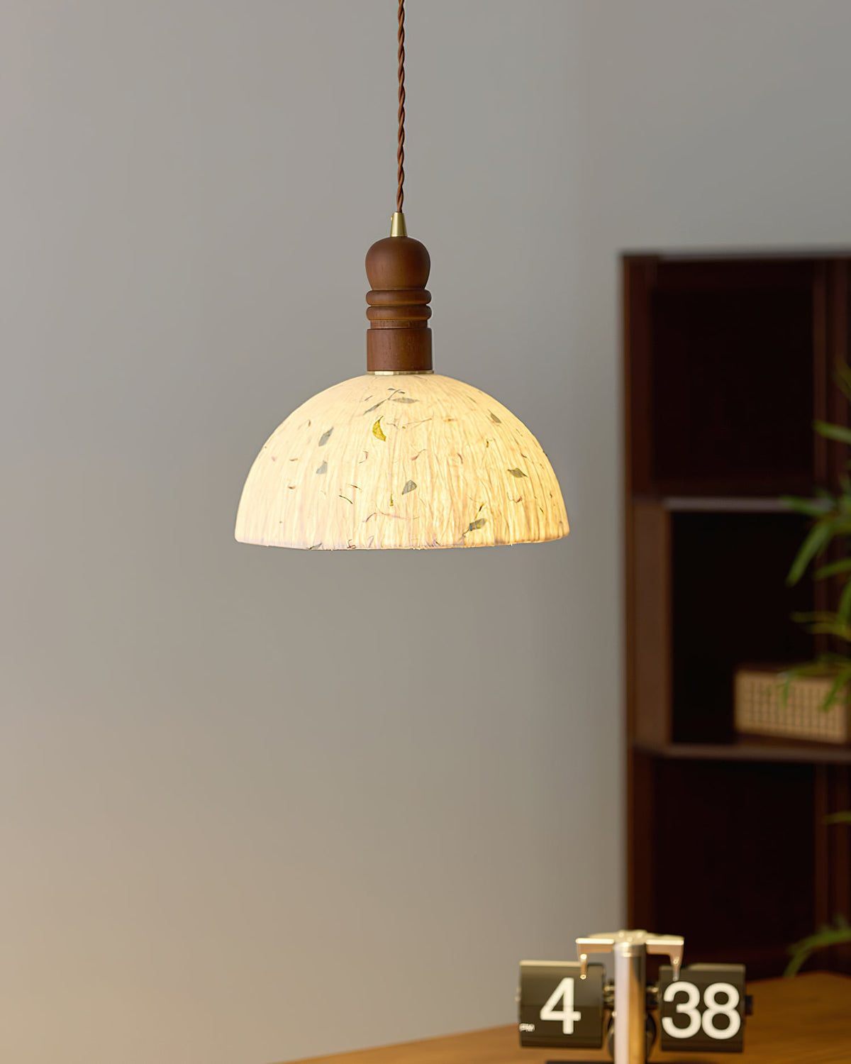 Sylvane Dome Wood Pendant Lamp — product view 9