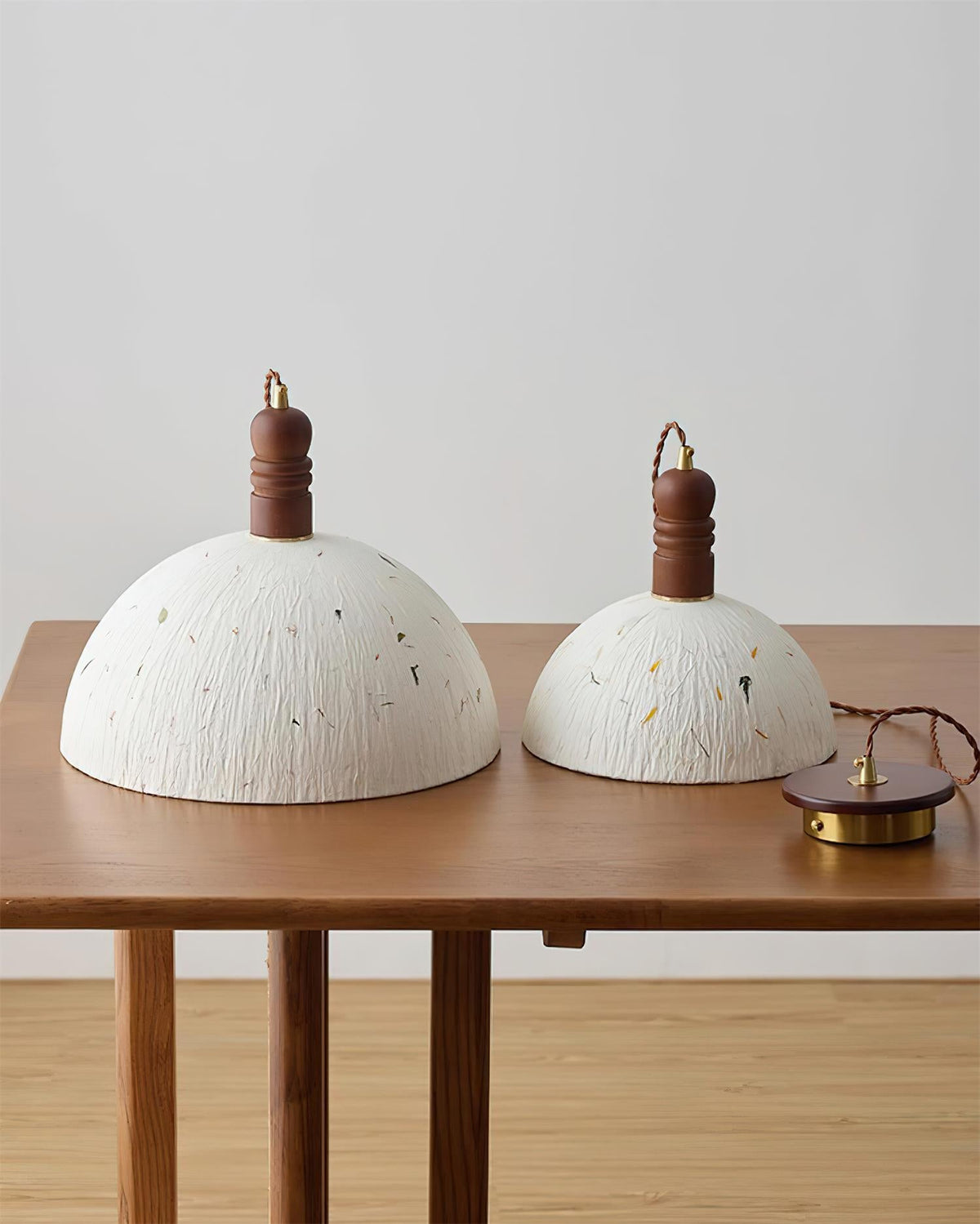 Sylvane Dome Wood Pendant Lamp — product view 11