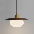 Vireo Glass Pendant Lamp — product view 13
