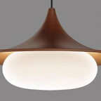 Veluna Swing Arm Pendant Lamp — product view 12