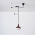 Veluna Swing Arm Pendant Lamp — product view 16