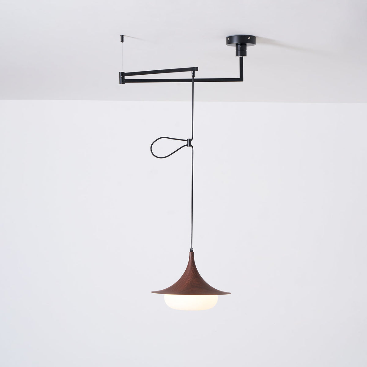 Veluna Swing Arm Pendant Lamp — product view 18