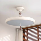 Spectrum Ring Metal Ceiling Lamp — product view 2