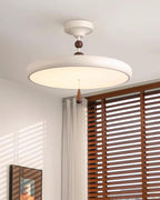 Spectrum Ring Metal Ceiling Lamp — product view 8