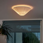 A662 Metal Ceiling Lamp — product view 2