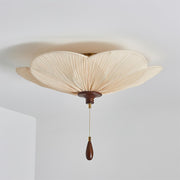 Beige & Walnut Color