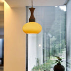 Chara Plug In Glass Pendant Lamp — product view 6