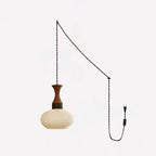 Chara Plug In Glass Pendant Lamp — product view 14