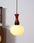 Chara Plug In Glass Pendant Lamp — product view 27