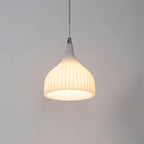 Zest Flare Metal Pendant Lamp — product view 13