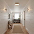 Earthbound Acrylic Ceiling Lamp — product view 2