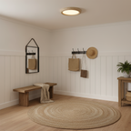 Earthbound Acrylic Ceiling Lamp — product view 3