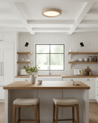 Earthbound Acrylic Ceiling Lamp — product view 4