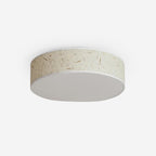 Hayden Metal Ceiling Lamp — product view 1