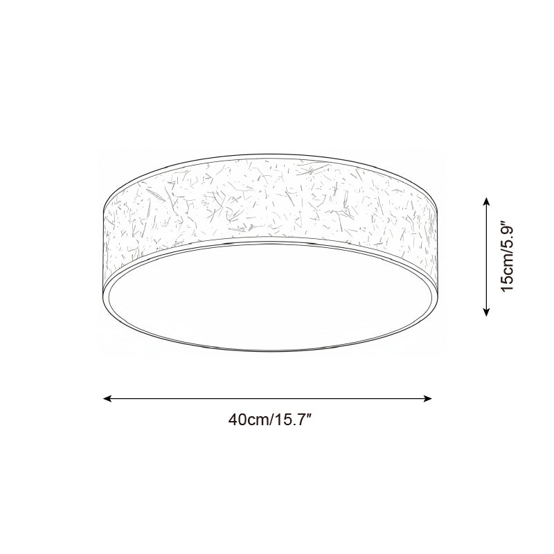 Hayden Metal Ceiling Lamp — product view 5