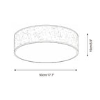 Hayden Metal Ceiling Lamp — product view 6
