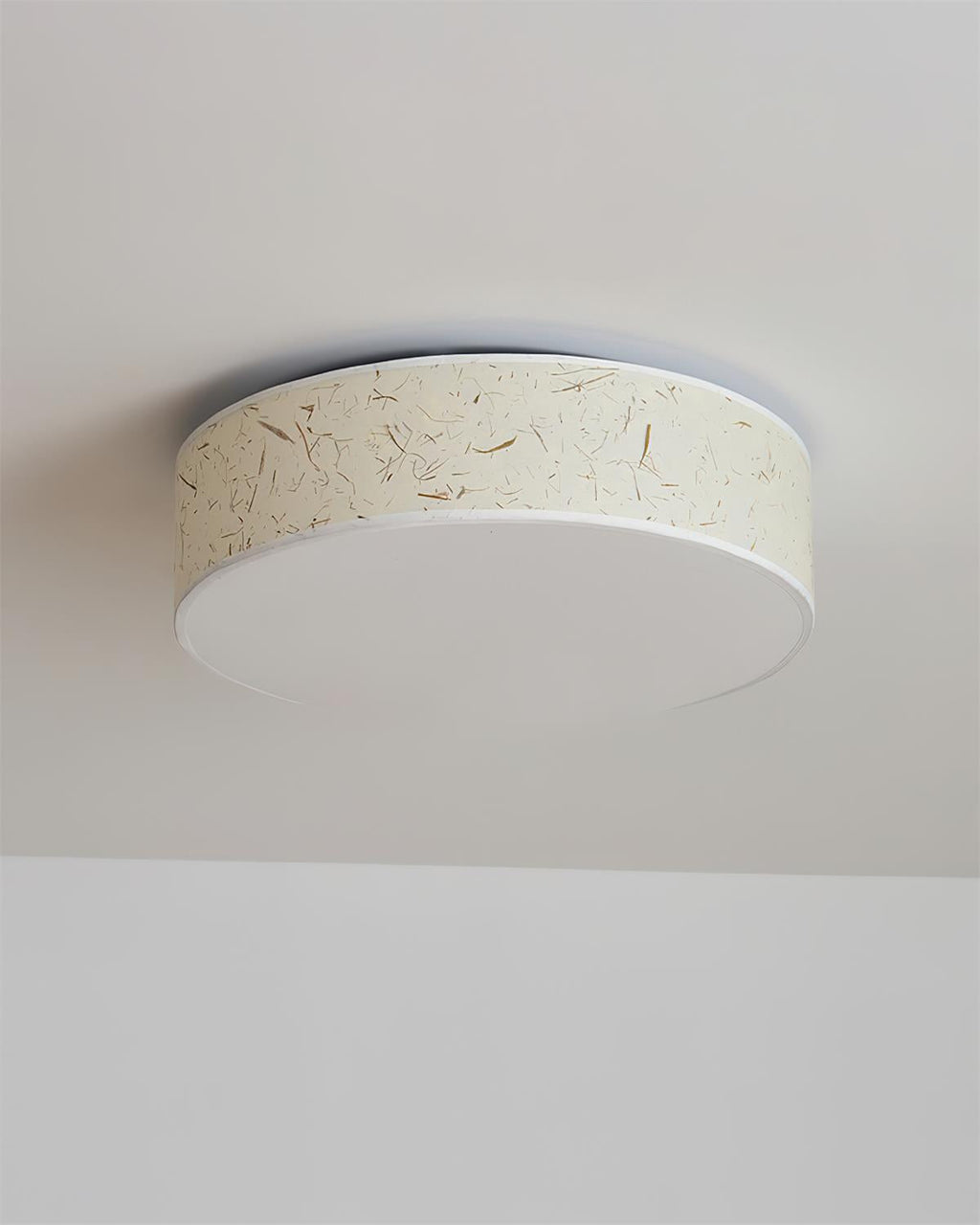 Hayden Metal Ceiling Lamp — product view 13