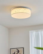 Hayden Metal Ceiling Lamp — product view 14