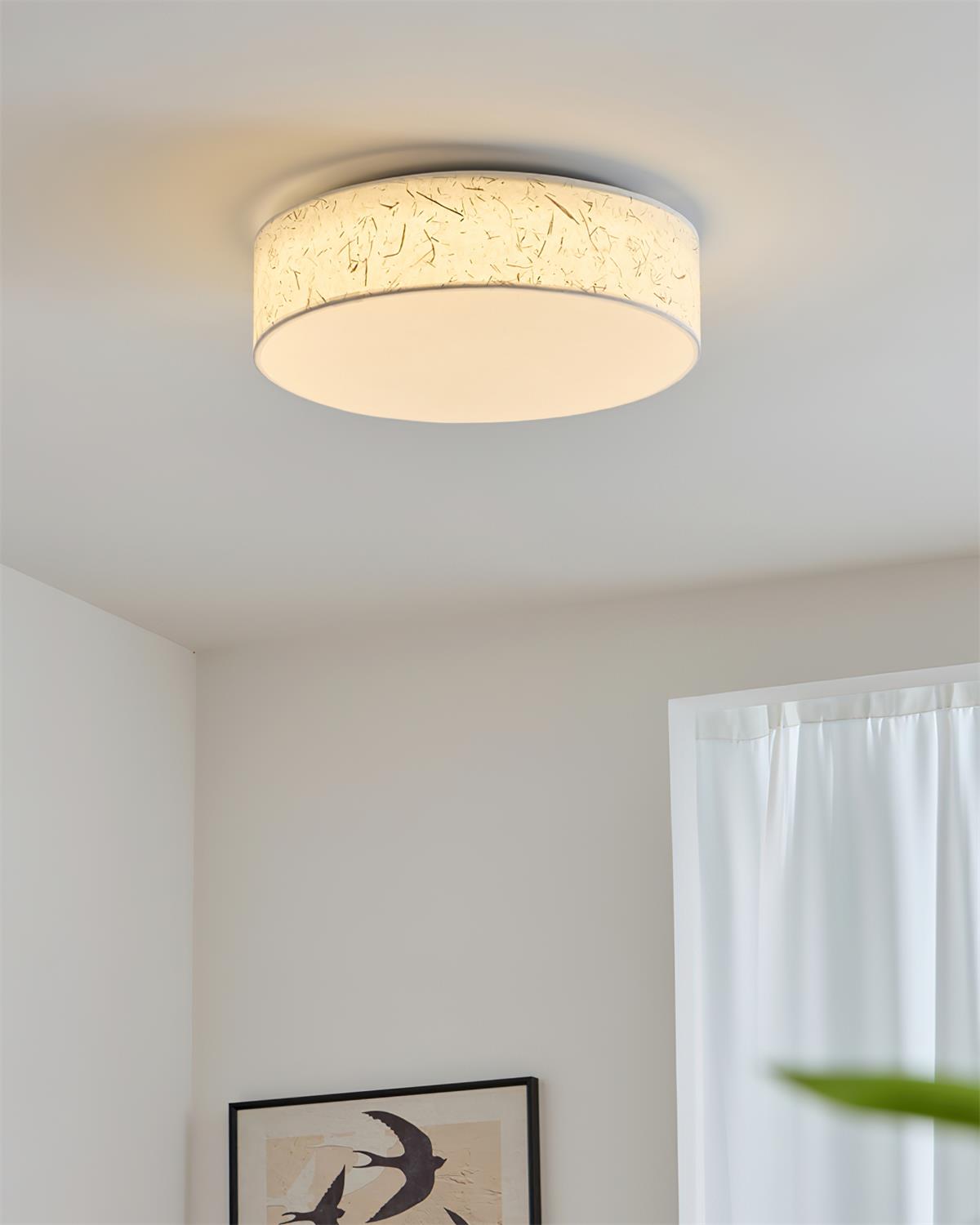 Hayden Metal Ceiling Lamp — product view 14