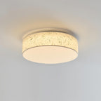 Hayden Metal Ceiling Lamp — product view 15