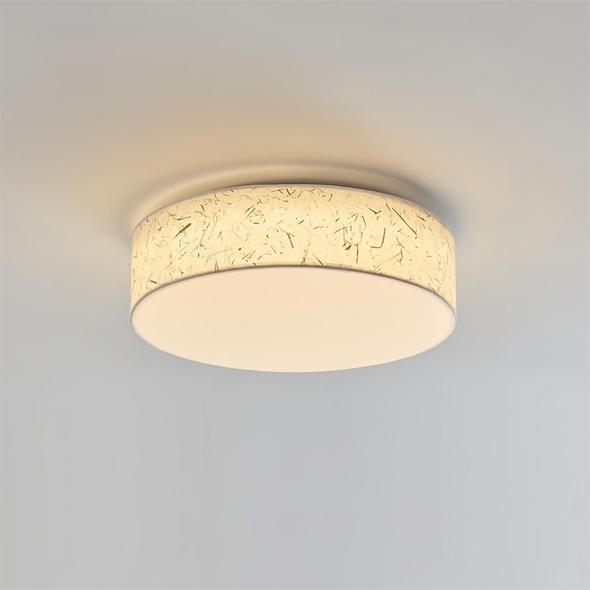 Hayden Metal Ceiling Lamp — product view 15